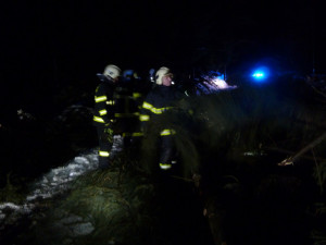 Vyvrácený strom na Horním Sedle.