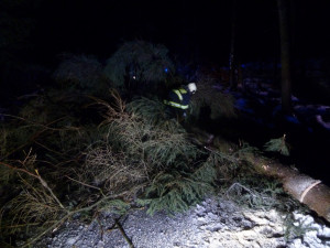 Vyvrácený strom na Horním Sedle.