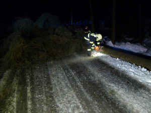 Vyvrácený strom na Horním Sedle.