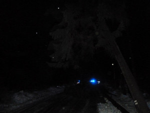 Vyvrácený strom na Horním Sedle.