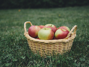 Makro ukončilo spolupráci s farmářem, který dodával jablka s pesticidy