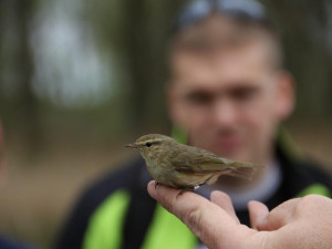 Mokřady Jablonné budou mezinárodní.