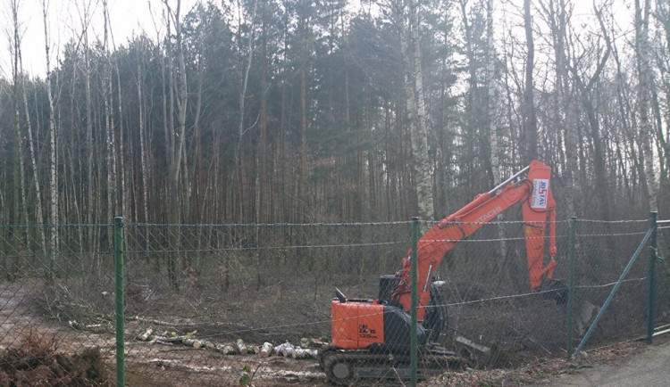 Revitalizace na Kristýně začala.
