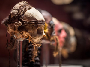 Mumie světa: evropská premiéra originální výstavy pouze v Praze.