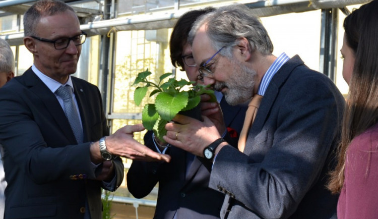 Návštěva španělského velvyslance.