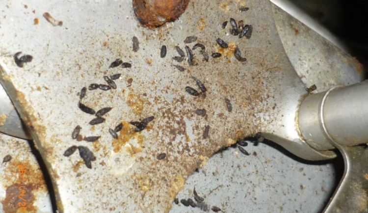 Fotografie pořízená při kontrole výrobny,