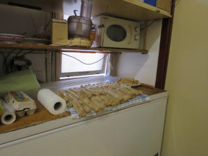 Inspekce uzavřela část večerky v Ralsku. Její majitel skladoval potraviny v žalostných podmínkách.