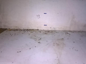 Myší trus a zanedbaný úklid. Inspekce zavřela další samoobsluhu.