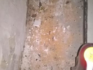 Myší trus a zanedbaný úklid. Inspekce zavřela další samoobsluhu.