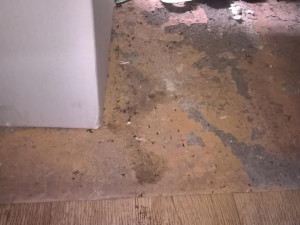 Myší trus a zanedbaný úklid. Inspekce zavřela další samoobsluhu.