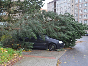 POČASÍ: Na Liberec se žene silný vítr. Objevit se mohou i bouřky