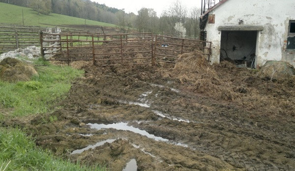 Za úniky výluh hnoje z kravína dostala firma na Liberecku pokutu.