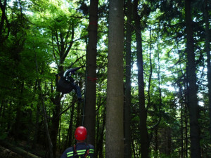 Paraglidista na Kozákově uvízl v koruně stromů. Dolů mu pomohli hasiči