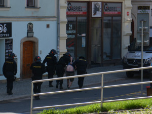 Pochod Slávistů Libercem.