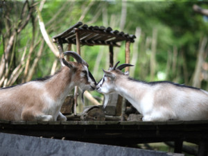 EKOPark_Liberec (40)