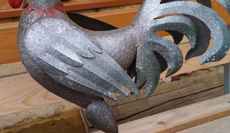 Ukradený kohout se nakonec vrátil majitelům.