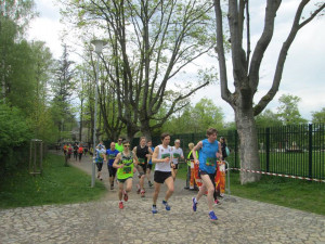 ZOO Liberec organizuje další ročník běhu kolem zahrady. Součástí bude i benefiční běh pro zpěvné ptactvo