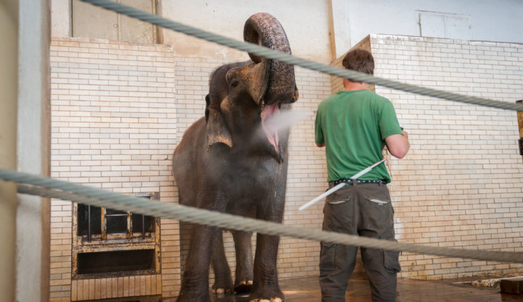 Zoologická zahrada Liberec