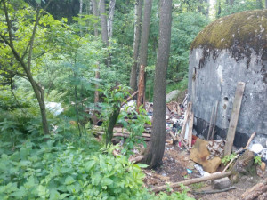 V lese žije parta bezdomovců