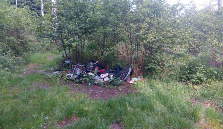 Skládka u lesa.