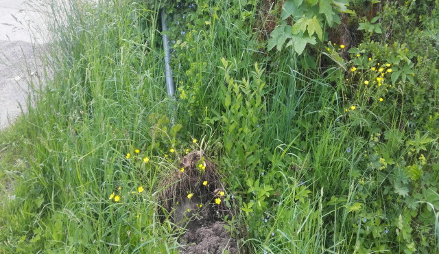 Na místě zbyl jen vyvrácený sloupek.