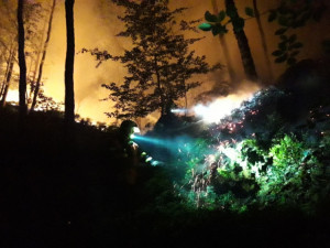 FOTO: U Dubé hoří dva hektary lesa. Hasit pomáhá i vrtulník