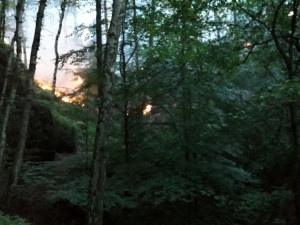 Požár lesa u Dubé.