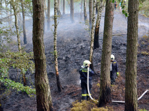 Desítky hasičů bojují už druhý den s rozsáhlým požárem lesa.