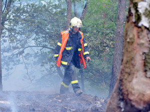 Desítky hasičů bojují už druhý den s rozsáhlým požárem lesa.