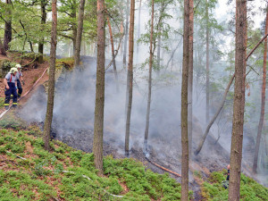 Desítky hasičů bojují už druhý den s rozsáhlým požárem lesa.