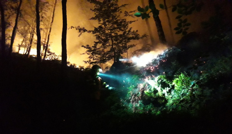 Požár lesa u Dubé.