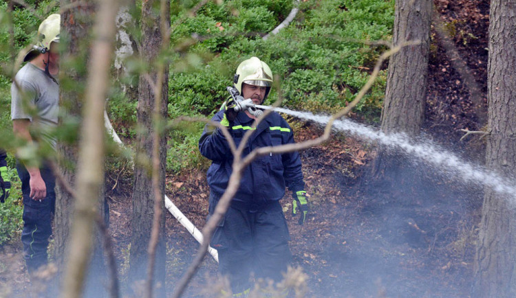 Desítky hasičů bojují už druhý den s rozsáhlým požárem lesa.