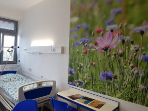 Nemocnice Česká Lípa - Novorozenecké oddělení