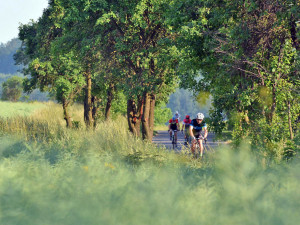 Závěr závodu Praha - Doksy.
