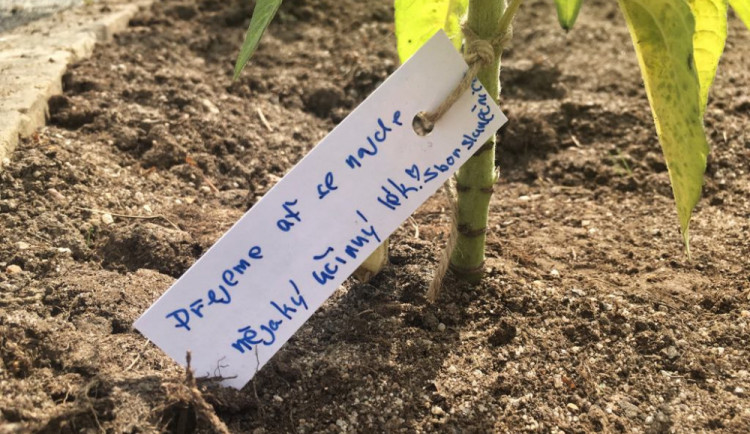 Rozsviťme Českou republiku