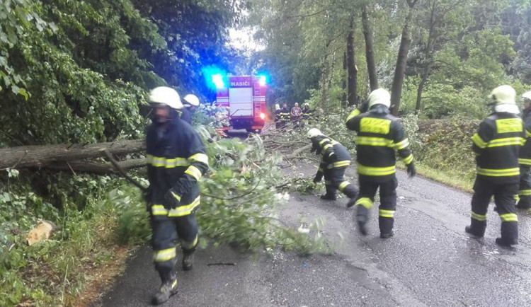 Silný vítr lámal stromy.