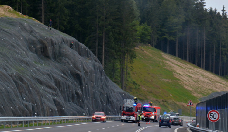 Ovce uvázla v pletivu na skále.