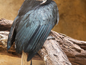 martad.fotografie@gmail.com