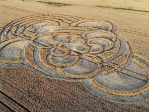 FOTO: U Bohdánkova se objevily kruhy v obilí