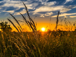 Následující čtyři týdny bude podle meteorologů kolem pětadvaceti stupňů, pršet bude málo