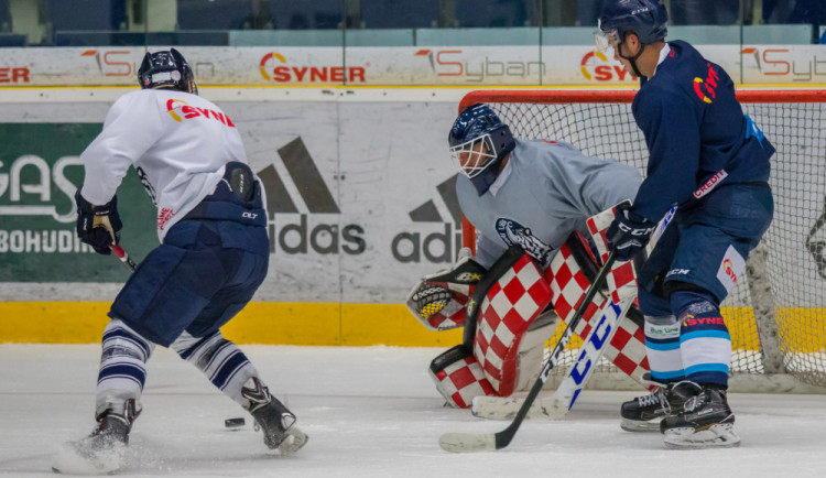 Trénink Bílích Tygrů