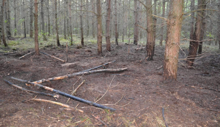 Mladík založil devět požárů.