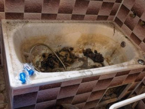 Velký nepořádek v zooparku