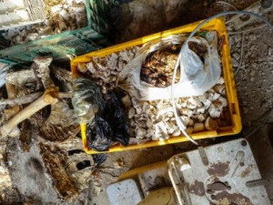 Obrovský nepořádek a smrad