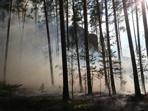 Foto z místa požáru - Milan Dvořák