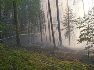 V blízkosti Hamerského jezera hoří