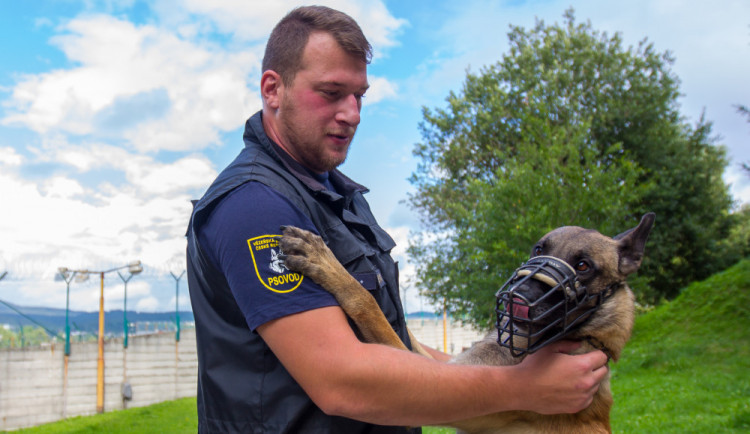 Psovod Michal Albani se svým psem jménem Arny