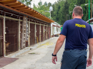 Psovod Michal Albani