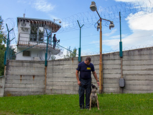 Psovod Michal Albani