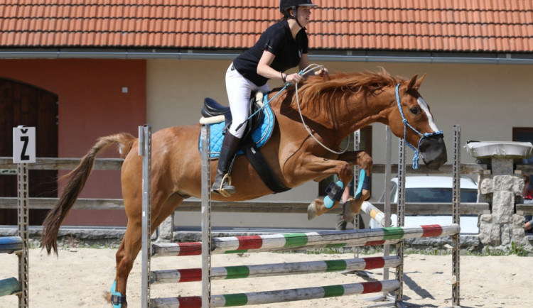 Závody v bezudidlové jízdě jsou rarita